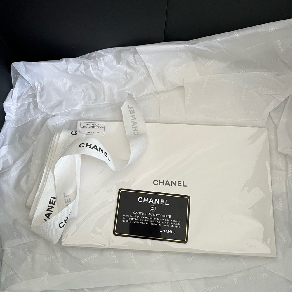 Chanel 18 C Gabrielle Bag in Python - Picture 3 of 14